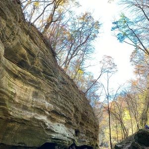 Meet your Posher, Carrie